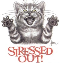 memory-loss-and-stress Memory loss coming on!
